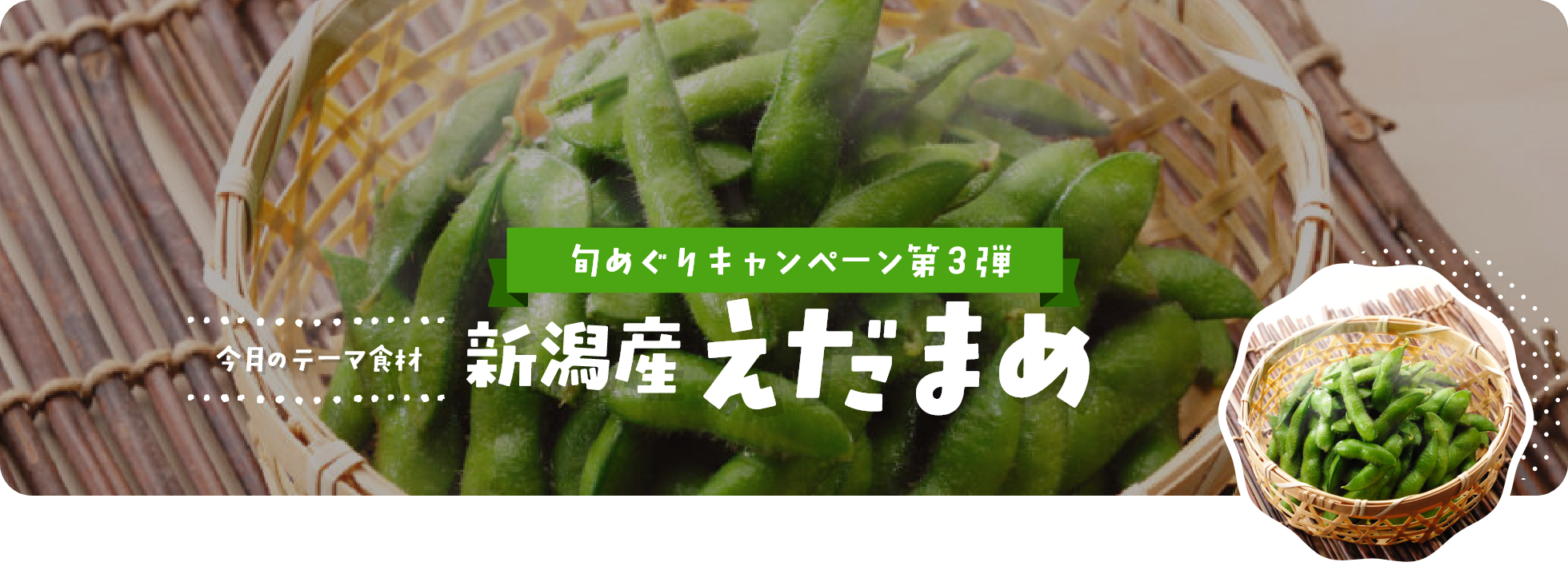 ８月｜新潟産えだまめ