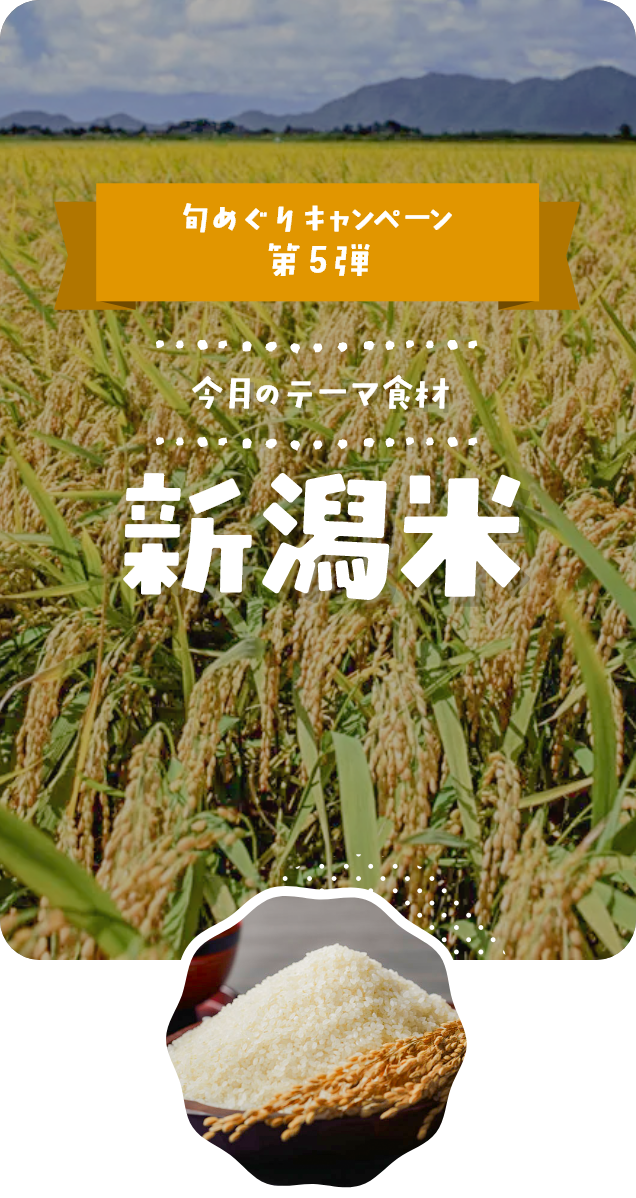 10月｜新潟米
