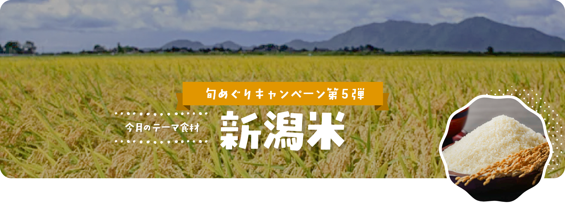 10月｜新潟米